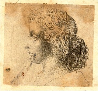 Wenceslas Hollar - Head of same young man