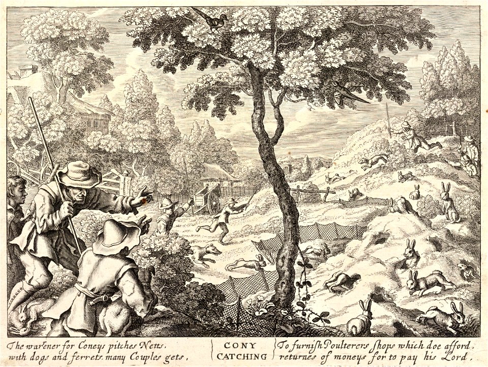 Wenceslas Hollar - Coney catching