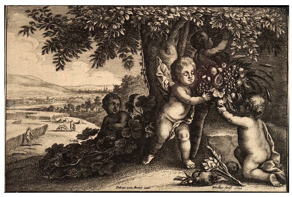 Wenceslas Hollar - Earth (State 2)