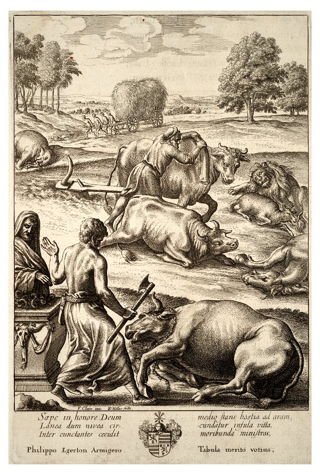 Wenceslas Hollar - Cattle plague (State 2)