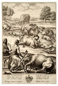 Wenceslas Hollar - Cattle plague (State 2). Free illustration for personal and commercial use.