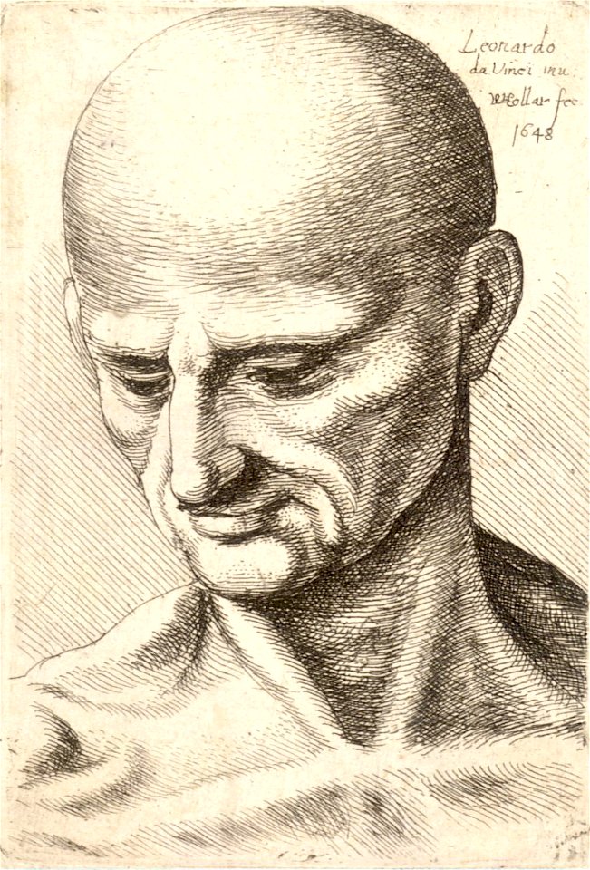 Wenceslas Hollar - Bald elderly man looking down