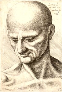 Wenceslas Hollar - Bald elderly man looking down