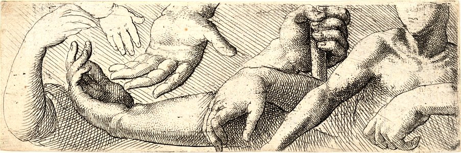Wenceslas Hollar - Hands and arms