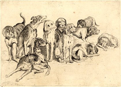 Wenceslas Hollar - Eleven hounds. Free illustration for personal and commercial use.