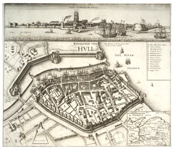 Wenceslas Hollar - Hull