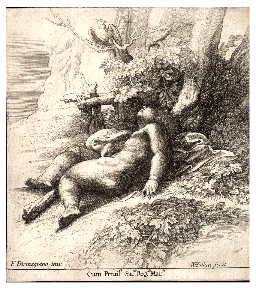 Wenceslas Hollar - Infant Hercules asleep, after Parmegiano (State 2)