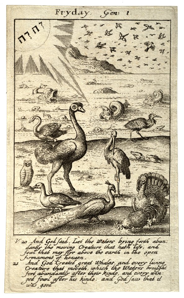 Wenceslas Hollar - Friday (State 1)
