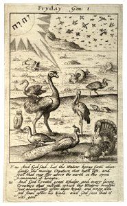 Wenceslas Hollar - Friday (State 1). Free illustration for personal and commercial use.