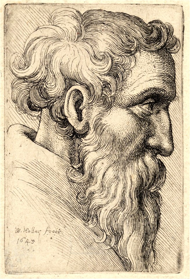 Wenceslas Hollar - Bearded old man 2