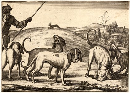 Wenceslas Hollar - Hounds. Free illustration for personal and commercial use.