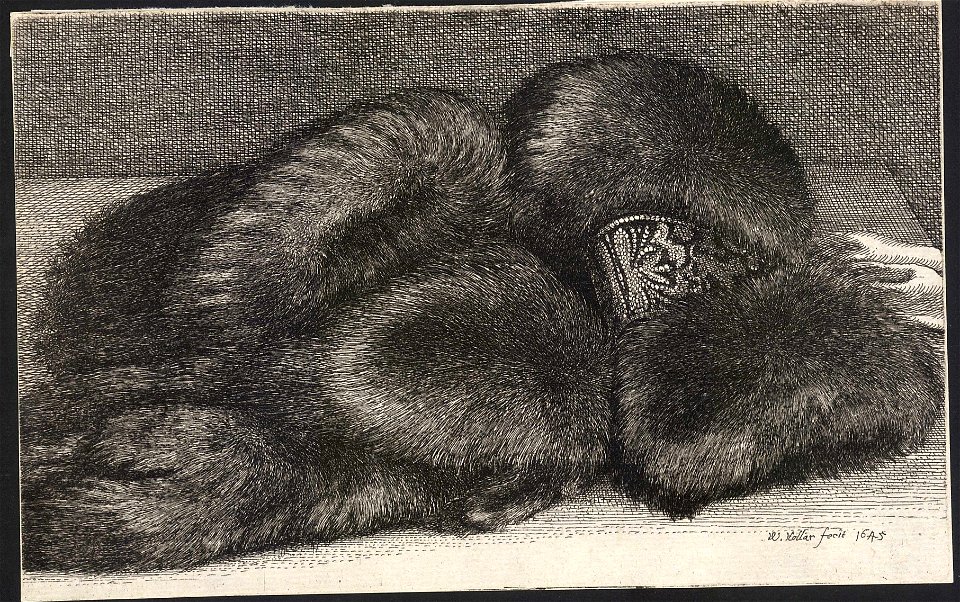 Wenceslas Hollar - Fur muff with brocade (State 1)