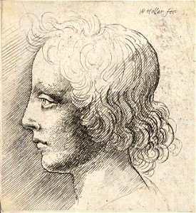 Wenceslas Hollar - Head of young man 2
