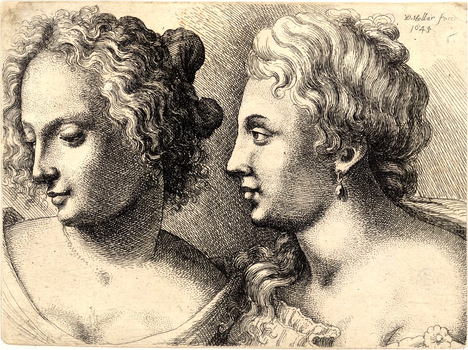 Wenceslas Hollar - Heads of two young women (State 1)