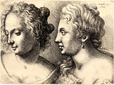 Wenceslas Hollar - Heads of two young women (State 1)