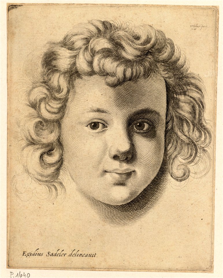 Wenceslas Hollar - Head of a child, after Sadeler