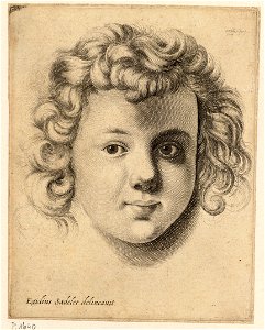 Wenceslas Hollar - Head of a child, after Sadeler