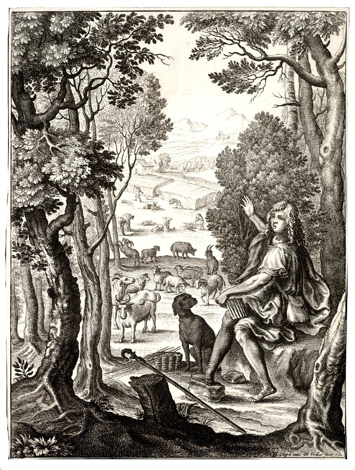 Wenceslas Hollar - Alexis