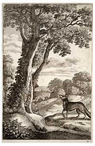 Wenceslas Hollar - Fox and crow