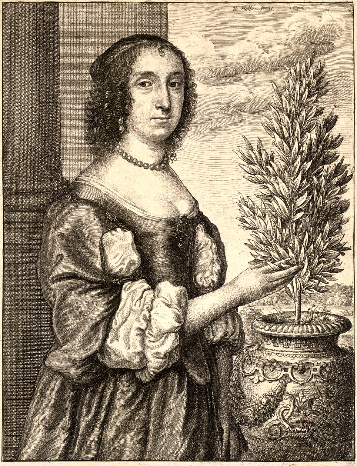 Wenceslas Hollar - Lady and laurel plant (State 1)