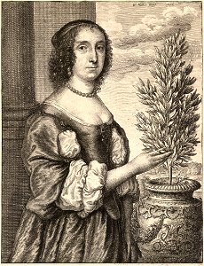 Wenceslas Hollar - Lady and laurel plant (State 1)