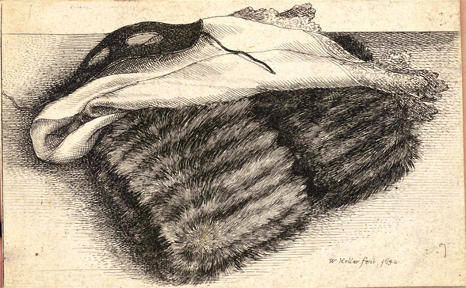 Wenceslas Hollar - Fur double muff