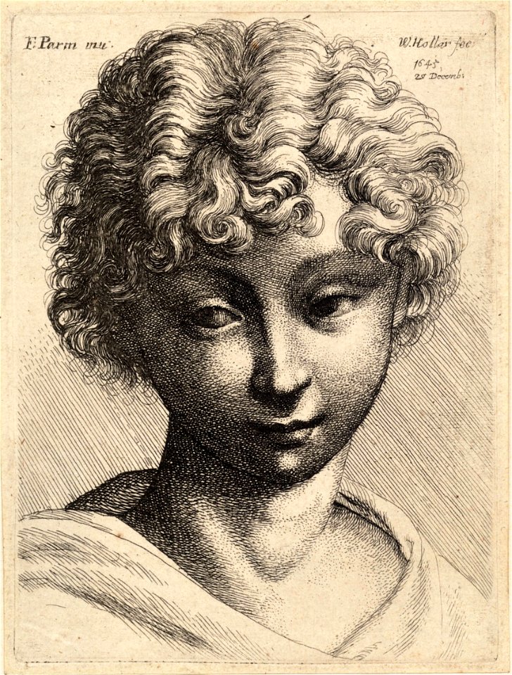 Wenceslas Hollar - Head of a young girl 2