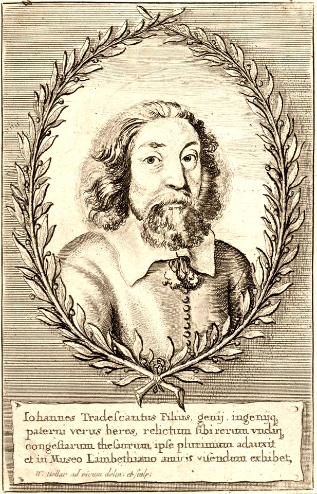 Wenceslas Hollar - John Tradescant the younger (State 2)