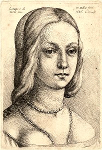 Wenceslas Hollar - Head of a woman, after Lorenzo de Credi
