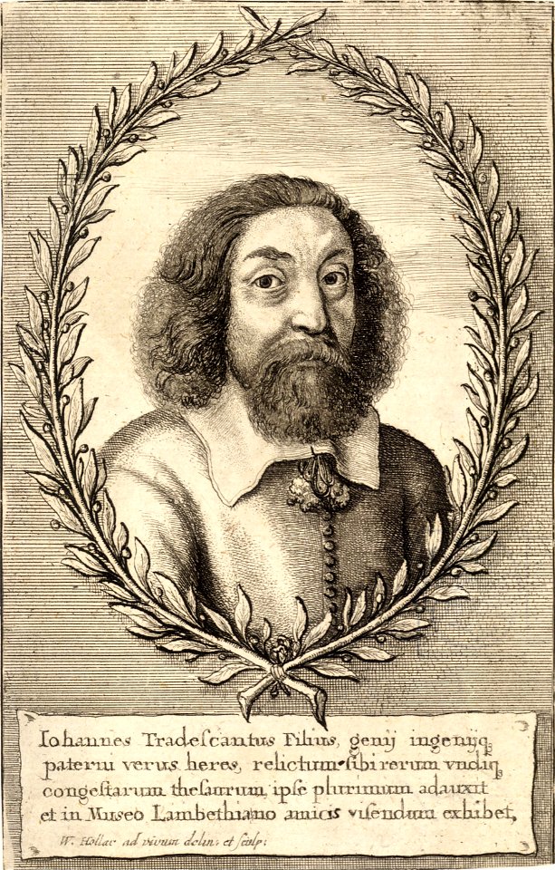 Wenceslas Hollar - John Tradescant the younger (State 1)