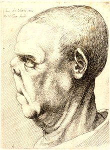 Wenceslas Hollar - Man with flattened nose and elongated upper lip