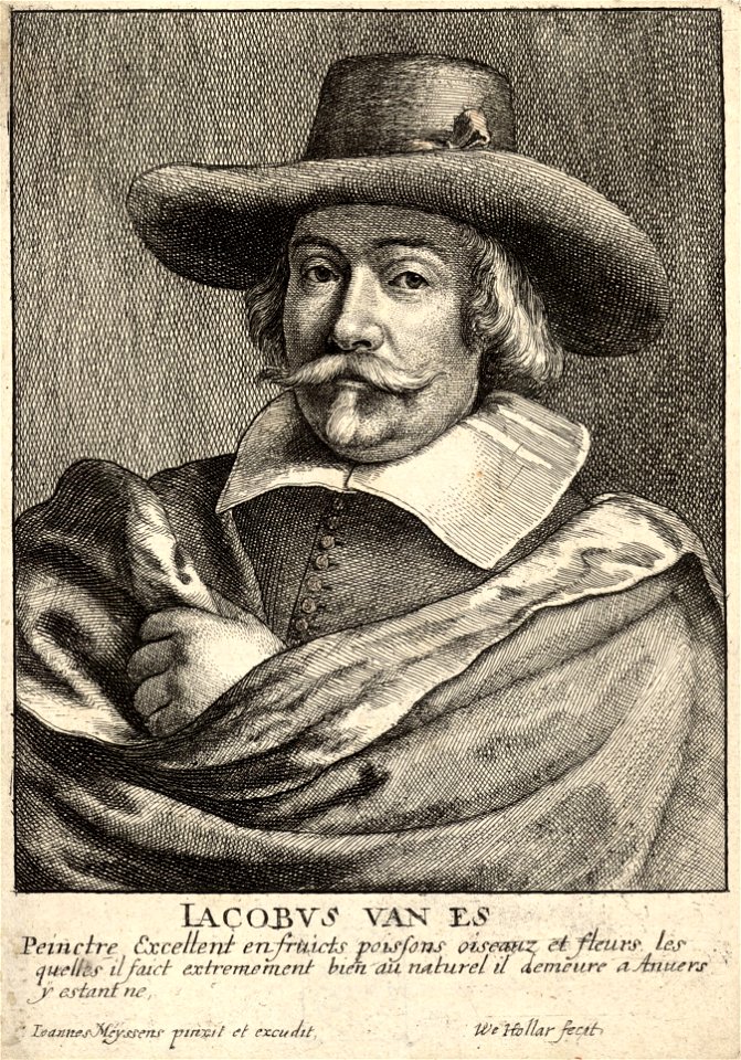 Wenceslas Hollar - Jacob van Es (State 1)