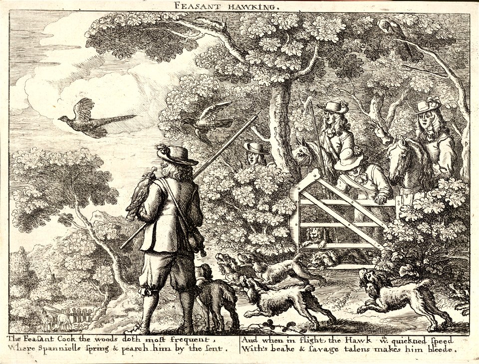 Wenceslas Hollar - Pheasant hawking