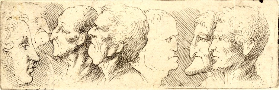Wenceslas Hollar - Seven heads in profile (State 1)