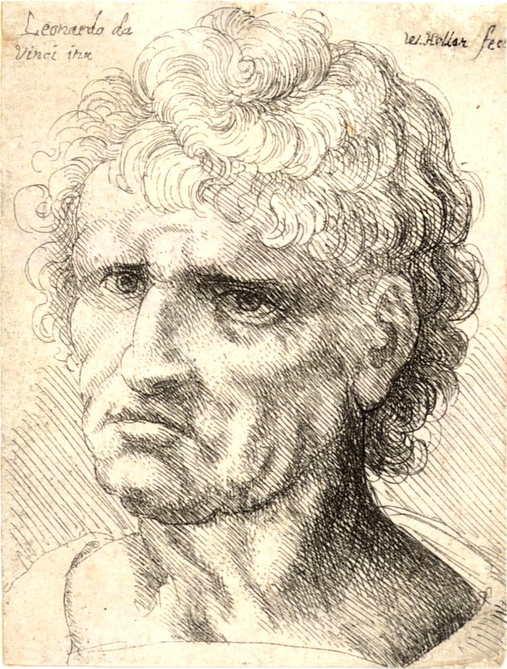 Wenceslas Hollar - Man with thick, short, curly hair