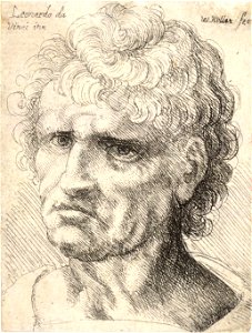 Wenceslas Hollar - Man with thick, short, curly hair