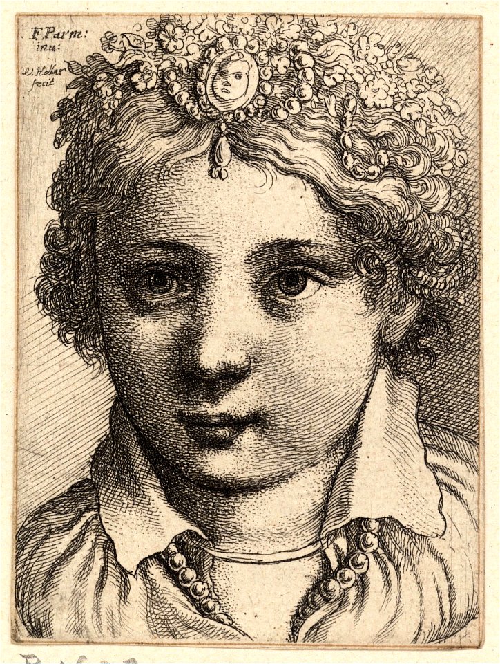 Wenceslas Hollar - Head of a young girl