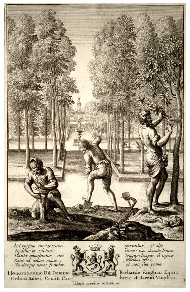 Wenceslas Hollar - Gardening (State 1)
