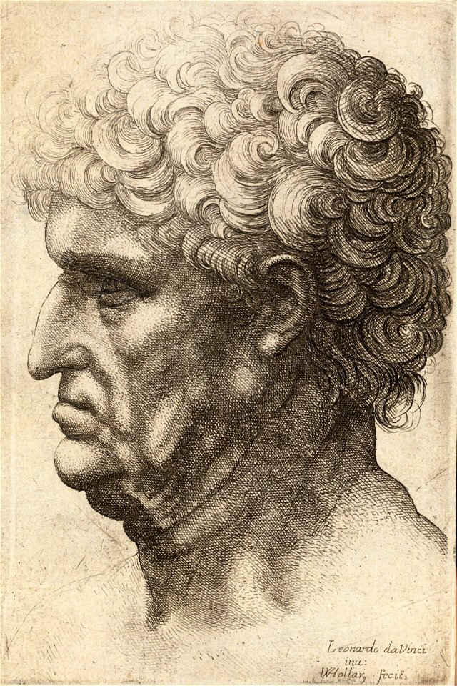 Wenceslas Hollar - Man with thick curly hair (State 2)