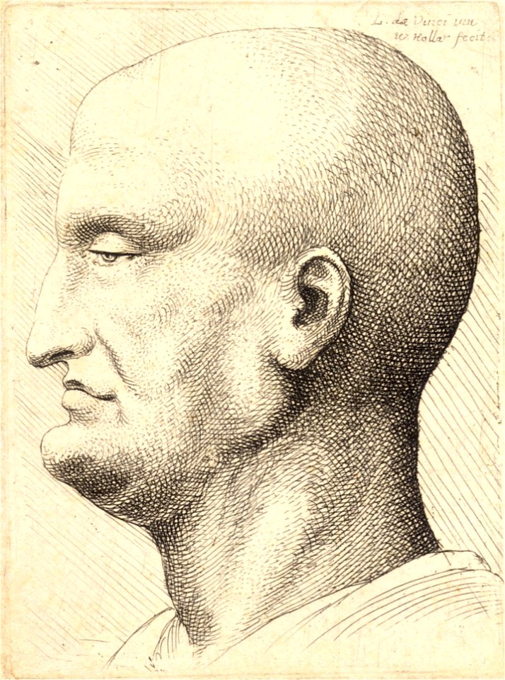 Wenceslas Hollar - Old man with drooping eyelid and prominent chin