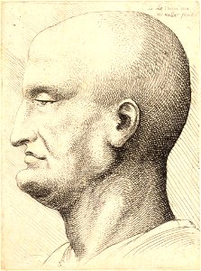 Wenceslas Hollar - Old man with drooping eyelid and prominent chin