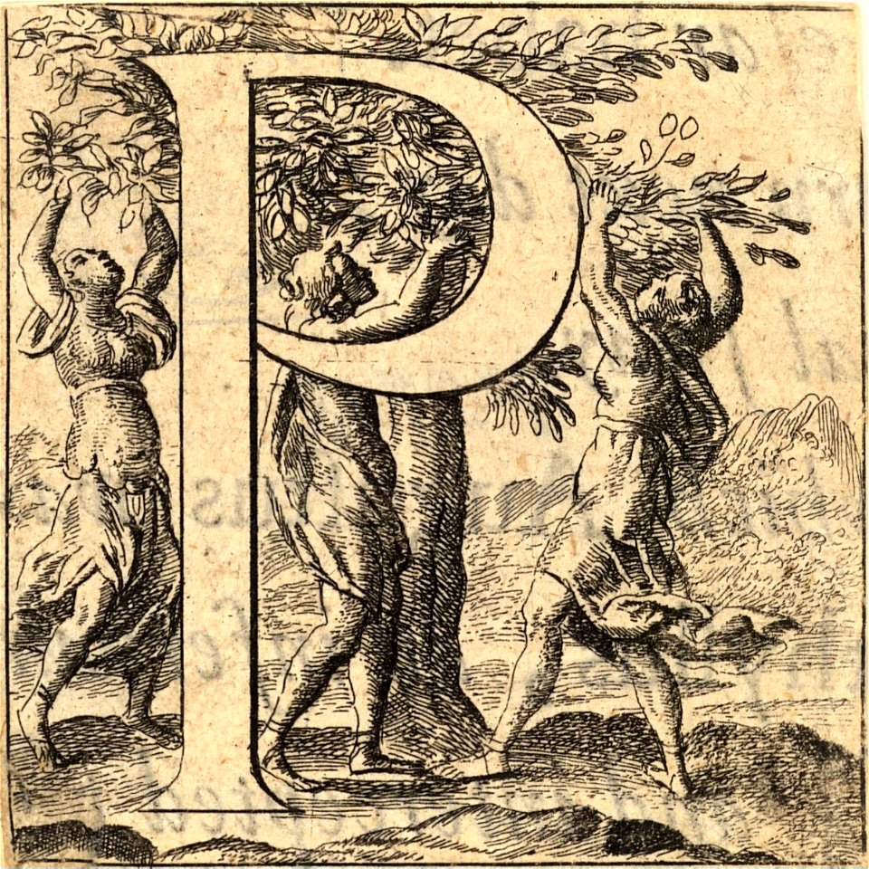 Wenceslas Hollar - P