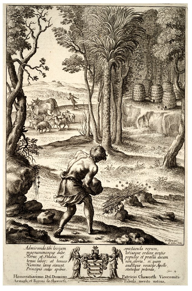 Wenceslas Hollar - Hiving bees (State 1)