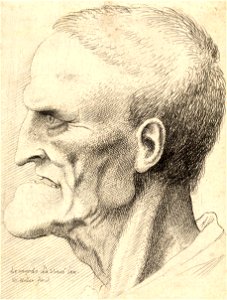 Wenceslas Hollar - Man with prominent chin and missing teeth