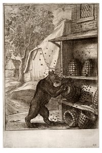 Wenceslas Hollar - The bear and the honey 2
