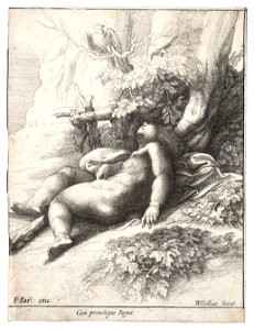 Wenceslas Hollar - Infant Hercules asleep, after Parmegiano (State 4)