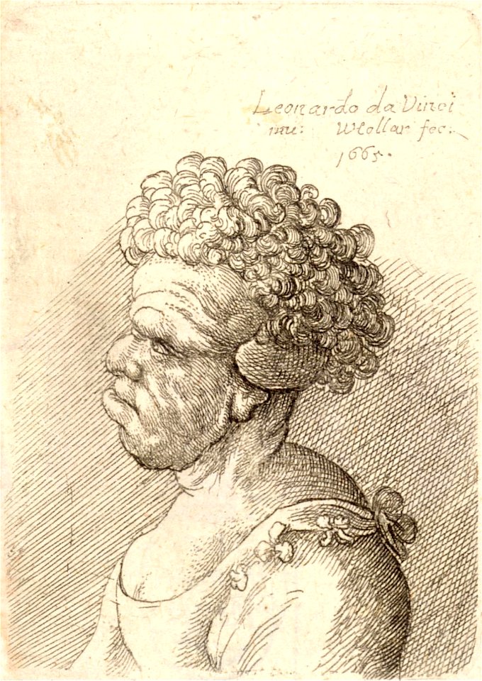 Wenceslas Hollar - Man with pointed nose touching his lower lip