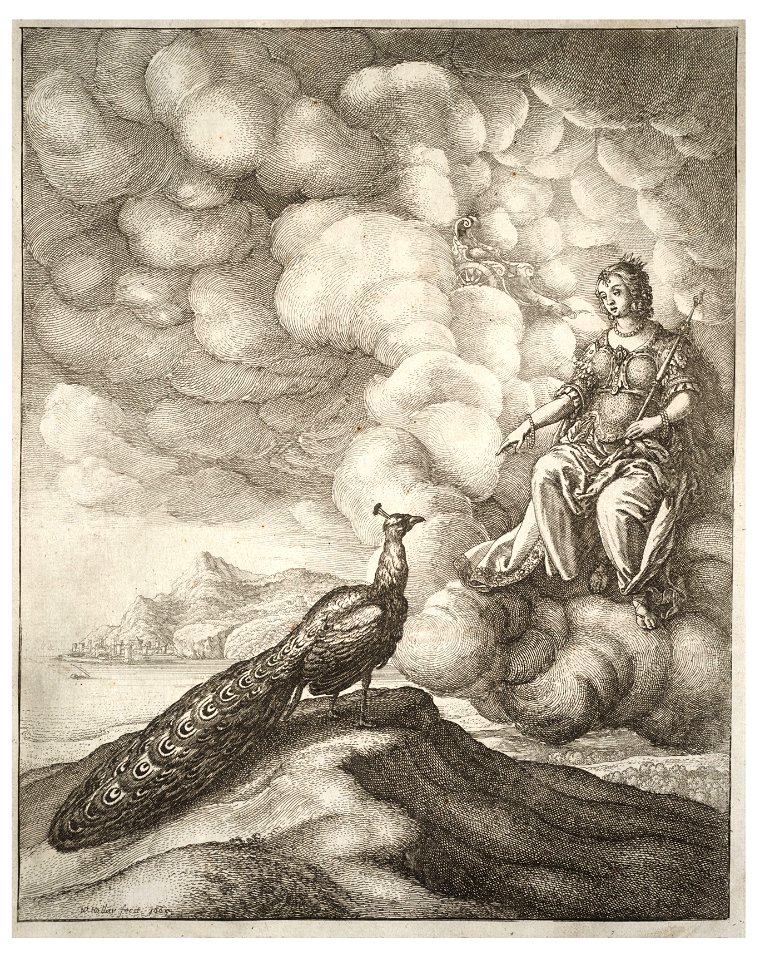 Wenceslas Hollar - Juno and the peacock (State 1)