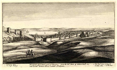 Wenceslas Hollar - Prospect of the lower part of Tangier (State 2)