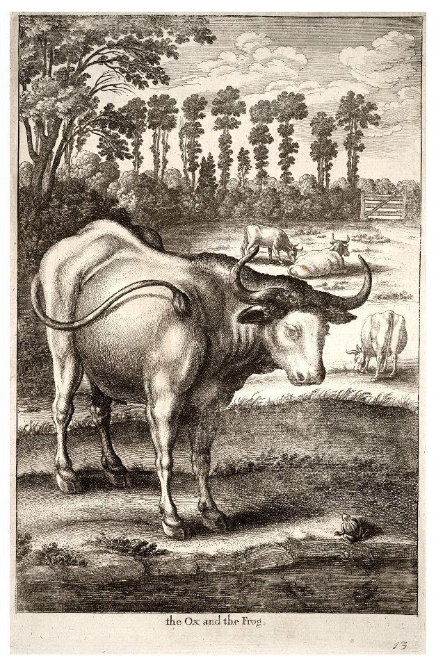 Wenceslas Hollar - Ox and frog 2